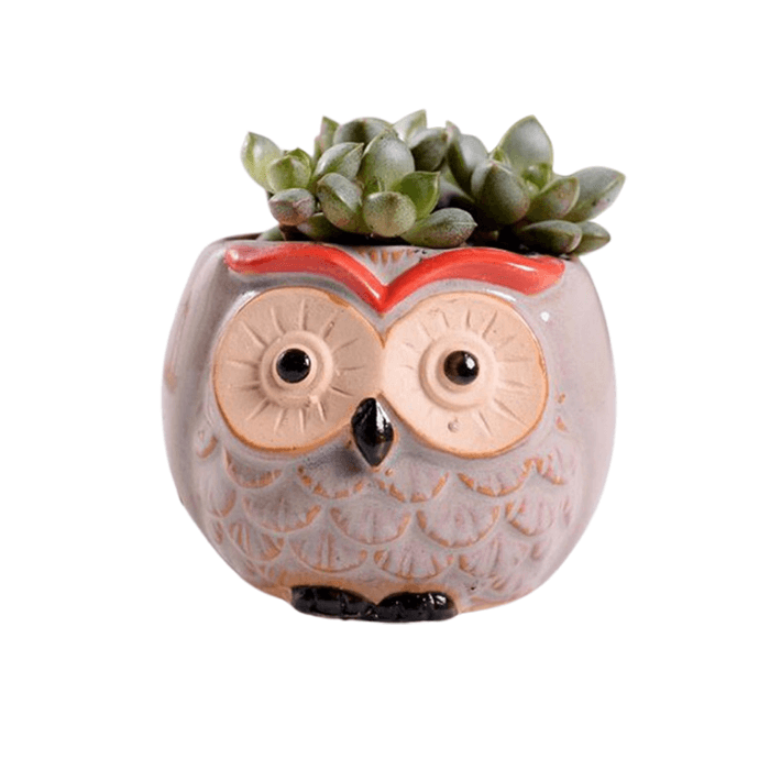 Animal Planters & Cute Succulent Pots