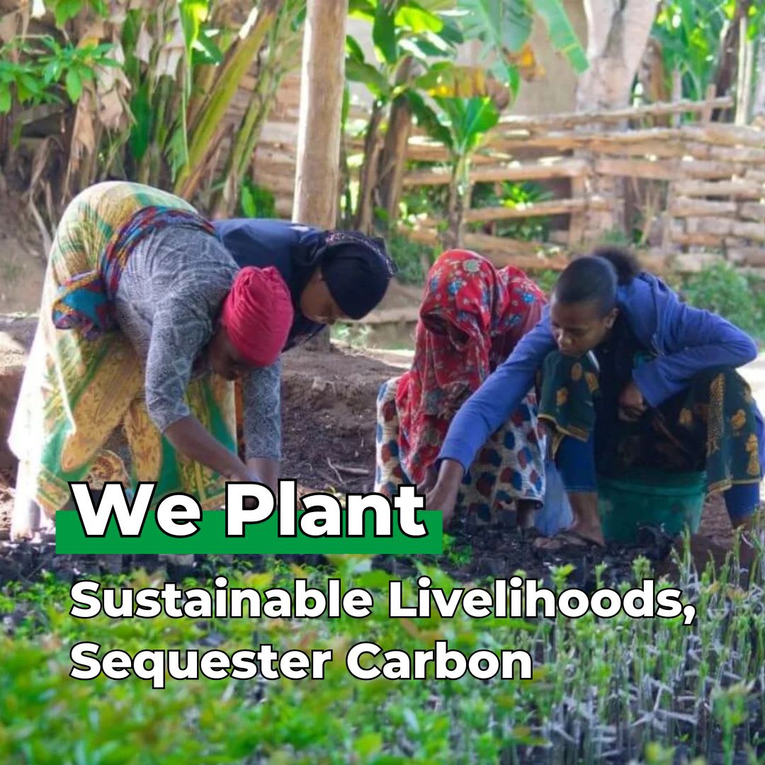 Plant 10 Trees for Our Journey – “Let Love Grow”-2