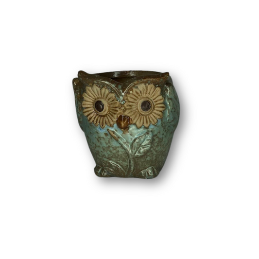 Blue Owl Flower Pot Style 1-0