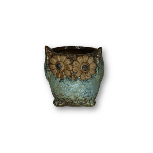 Blue Owl Flower Pot Style 4-0