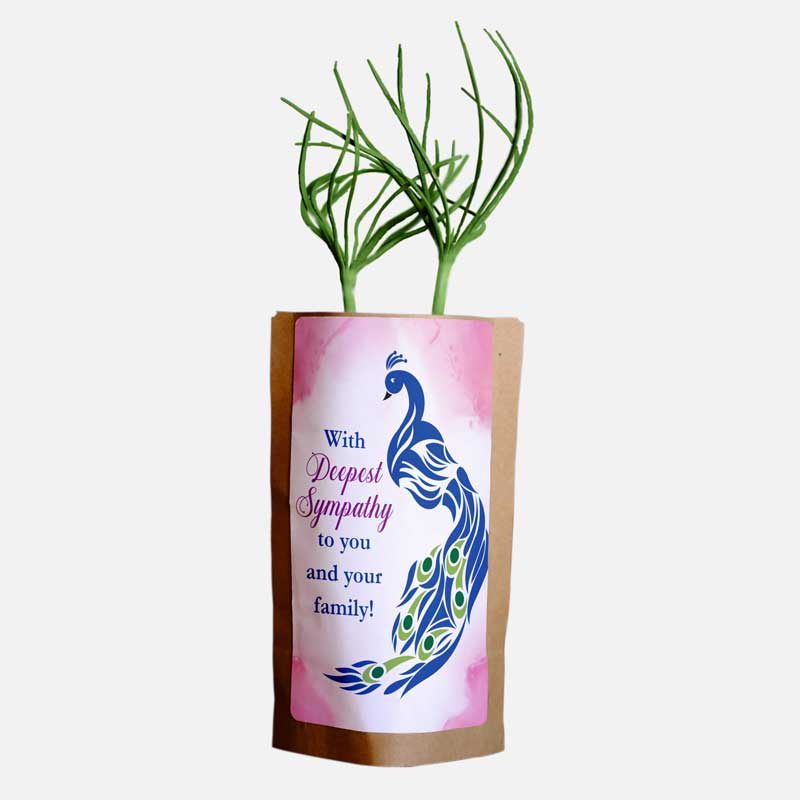 Sympathy Feathers-1