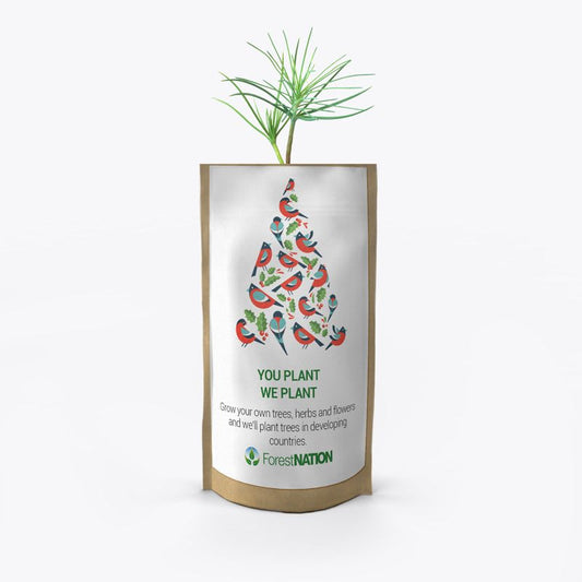 Season's Greetings Birdy Tree Growing Kit-0