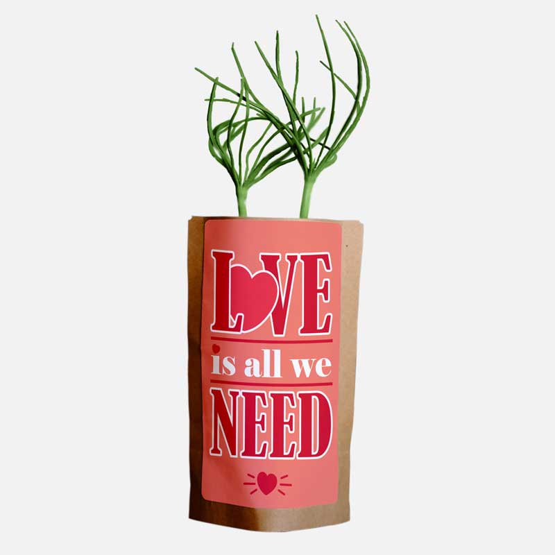 Love is All We Need-1