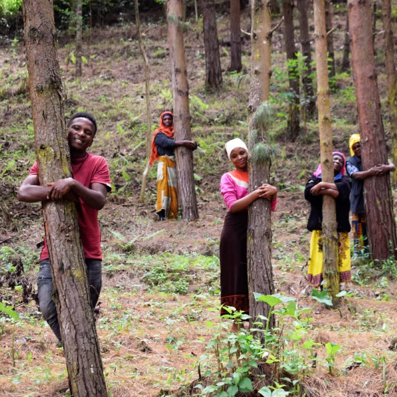 Merry Christmas Holiday Greetings Pack, We Plant 60 More Trees-3