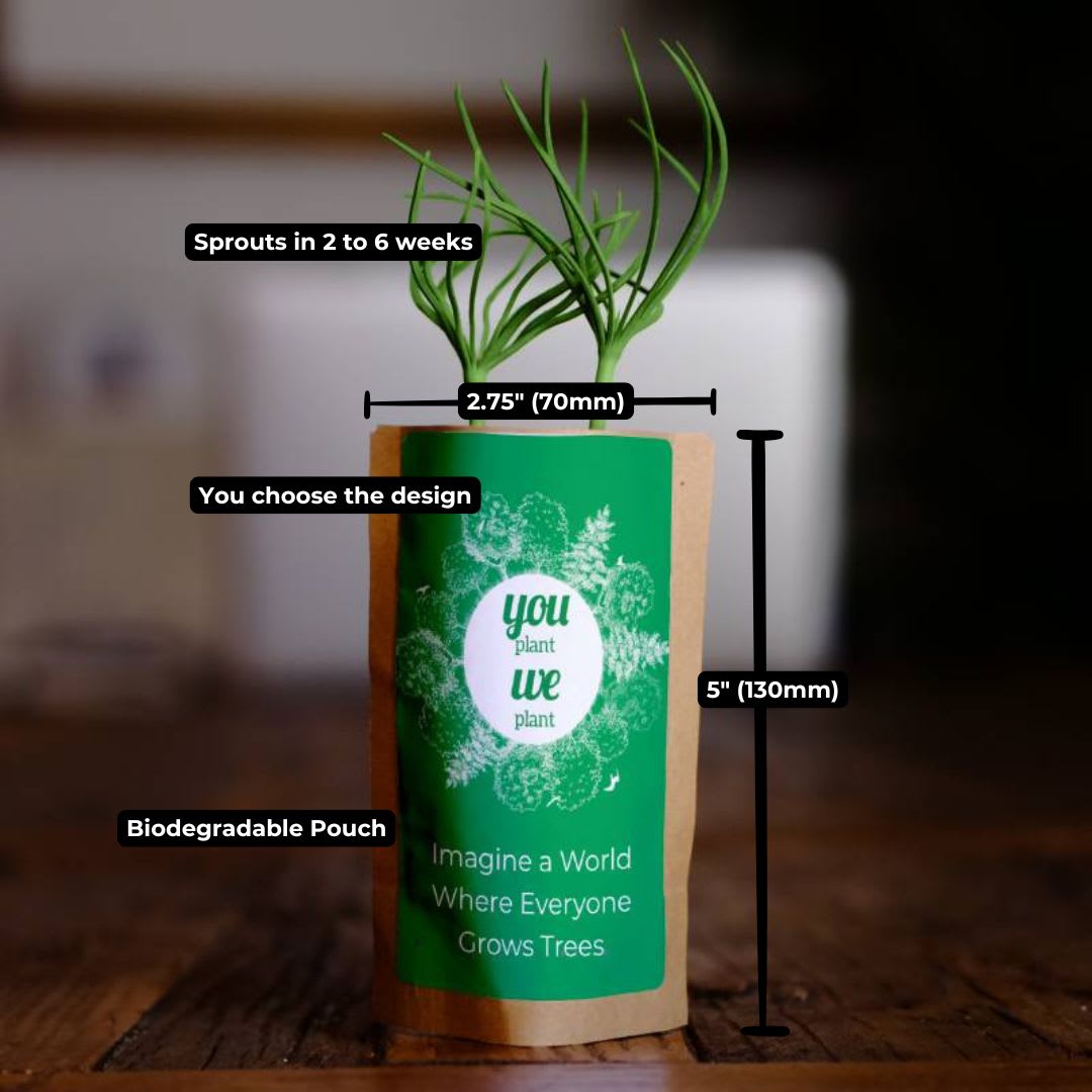 Plant 10 Trees for Our Journey – “Let Love Grow”-4