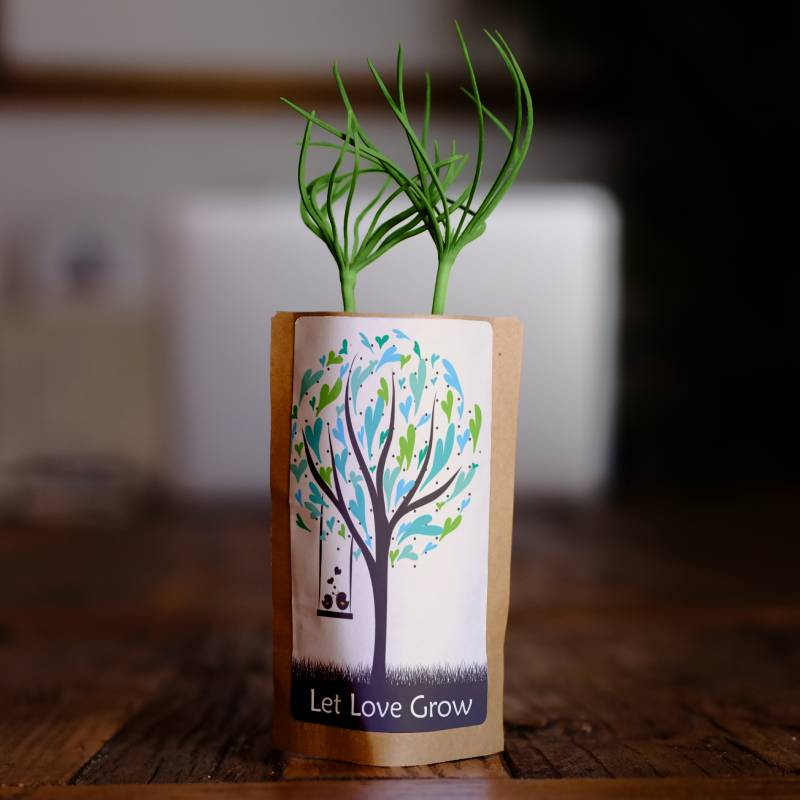 Plant 10 Trees for Our Journey – “Let Love Grow”-0