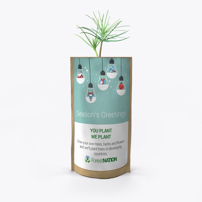 Season's Greetings Light Bulbs Growing Kit-0