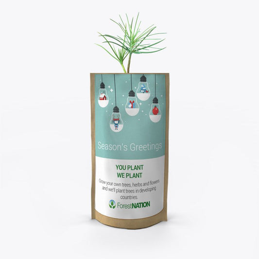 Season's Greetings Light Bulbs Growing Kit-0