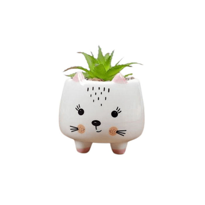 Ceramic Round Kitty Cat Succulent Plant/Pot - Style 3-0