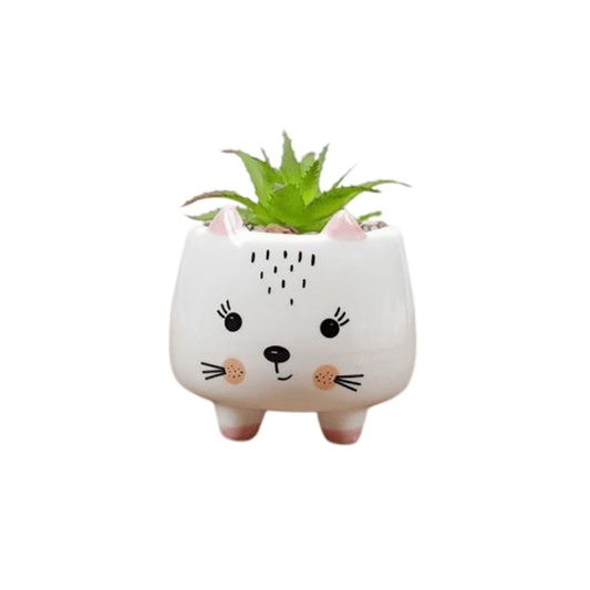 Ceramic Round Kitty Cat Succulent Plant/Pot - Style 3-0