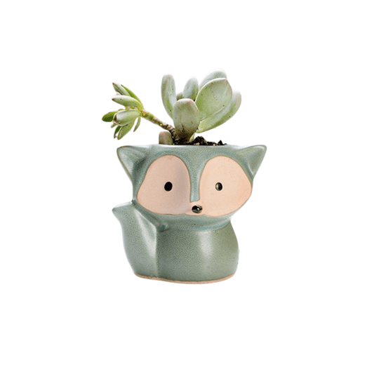 Green Fox Succulent Pot-0