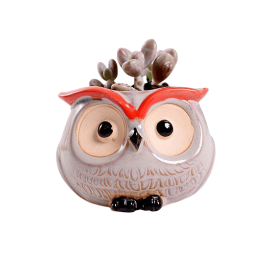 Owl Style 1 Succulent Planter Pot-0