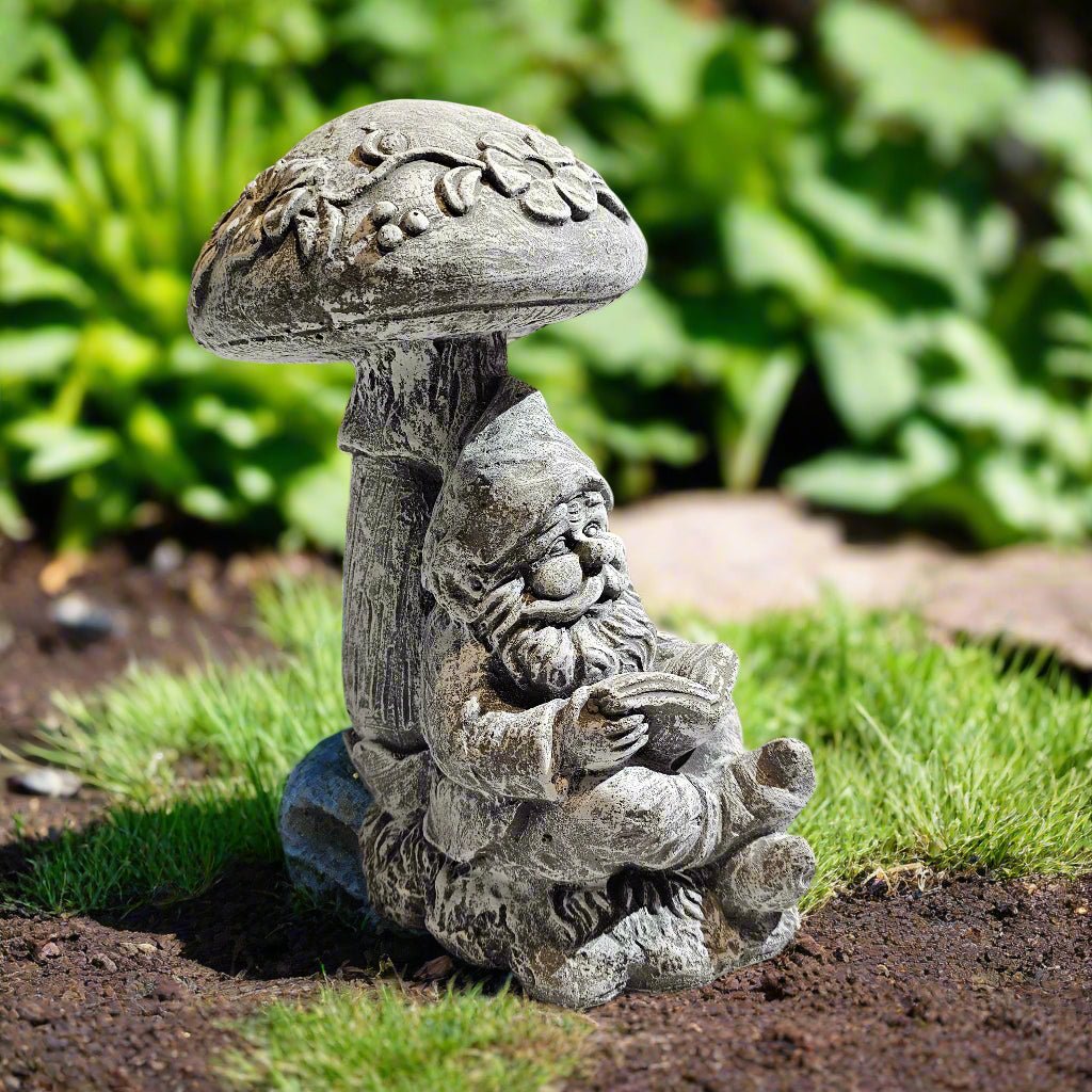 Scholarly Reading Gnome Statue (13" x 9")-2
