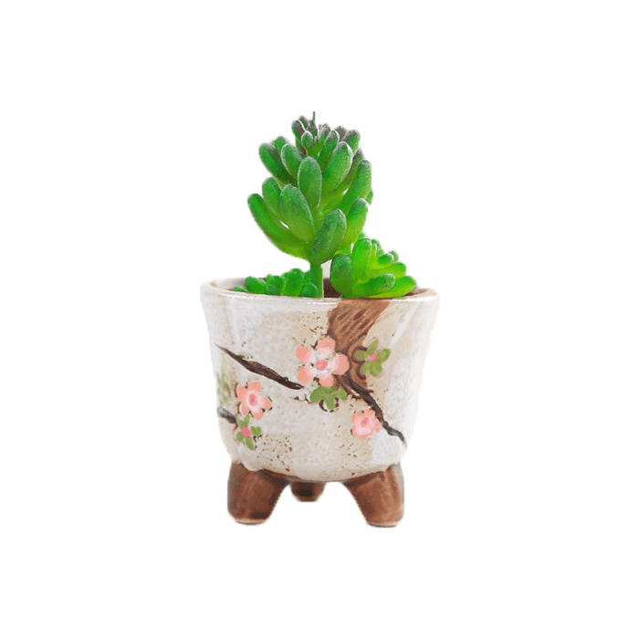 White Cup Shaped Ceramic Succulent Pot-0